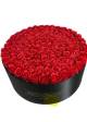 Rosses